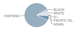 Everett Alvarez High School Student Race Distribution
