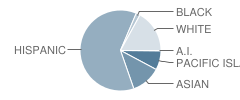 Allen (Decima M.) Elementary School Student Race Distribution