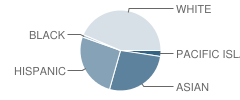 Crestmoor Elementary School Student Race Distribution