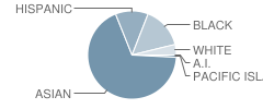Bethune (Mary Mcleod) Elementary School Student Race Distribution