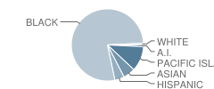 Brown, Jr. (Willie L.) College Preparatory Academy Student Race Distribution