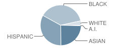 Wells (Ida B.) High (Continuation / Alternative) School Student Race Distribution