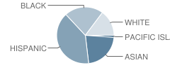 Independence High (Alternative) School Student Race Distribution