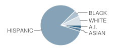 Willow Glen Plus (Continuation) School Student Race Distribution