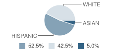 Pioneer Plus (Continuation) School Student Race Distribution
