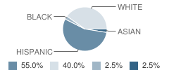 Leland Plus (Continuation) School Student Race Distribution