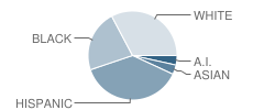 Sierra Nueva High (Continuation) School Student Race Distribution