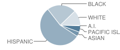 Royal Sunset (Continuation) School Student Race Distribution