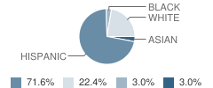 Madrone High (Continuation) School Student Race Distribution