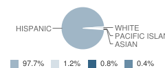 Mountain View High (Continuation) School Student Race Distribution
