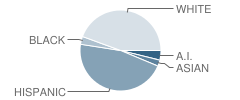 Ridgway High (Continuation) School Student Race Distribution