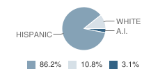 Heartland High (Continuation) School Student Race Distribution