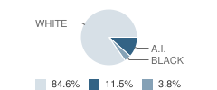 Jefferson High (Continuation) School Student Race Distribution