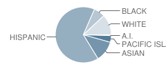 Baden High (Continuation) School Student Race Distribution