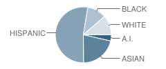 Cleveland Elementary School Student Race Distribution