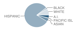 Fillmore Elementary School Student Race Distribution