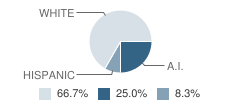 Tuolumne High (Continuation) School Student Race Distribution