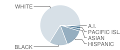 San Andreas High (Continuation) School Student Race Distribution