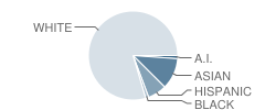 Tamiscal High (Alternative) School Student Race Distribution