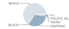 Monroe High (Continuation) School Student Race Distribution