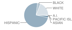 Hillview High (Continuation) School Student Race Distribution