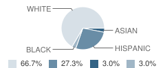 Homestead (Alternative) School Student Race Distribution