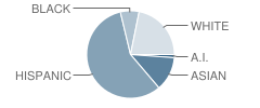 Del Paso High (Continuation) School Student Race Distribution
