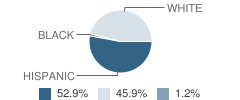 Phoenix High (Continuation) School Student Race Distribution