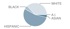 Bowman (Jereann) High (Continuation) School Student Race Distribution