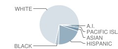 Learning Post High (Alternative) School Student Race Distribution