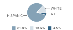 Mid Valley High (Continuation) School Student Race Distribution