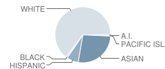 Vista Verde School Student Race Distribution