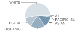 Adams (J. Douglas) Middle School Student Race Distribution