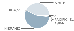 Lange (Dorothea) Elementary School Student Race Distribution
