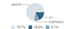Mountain View High (Continuation) School Student Race Distribution
