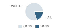Alps View High (Continuation) School Student Race Distribution