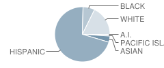 Phillip M. Stokoe Elementary School Student Race Distribution