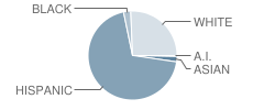 Summit High (Continuation) School Student Race Distribution