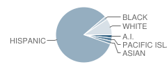 Student Outreach Academic Recovery (S.o.a.r.) School Student Race Distribution