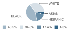 Anderson (Marian) - Therapeutic Center School Student Race Distribution