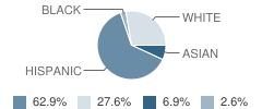 Lincoln Elementary School Student Race Distribution