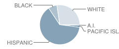 Desert Trails High (Alternative) School Student Race Distribution