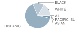 Baldy View Elementary School Student Race Distribution