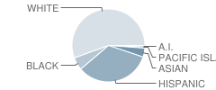 Redondo Shores High (Continuation) School Student Race Distribution