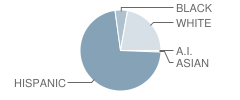 Dos Palos Elementary School Student Race Distribution