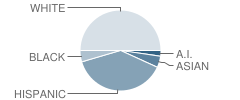 North Valley High (Continuation) School Student Race Distribution
