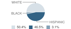 Liberty High (Continuation) School Student Race Distribution