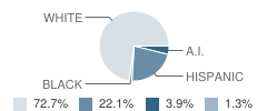 Valley Oak High (Alternative) School Student Race Distribution