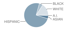 Abc Secondary (Alternative) School Student Race Distribution