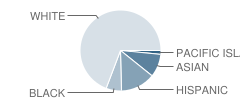 Del Oro High (Continuation) School Student Race Distribution